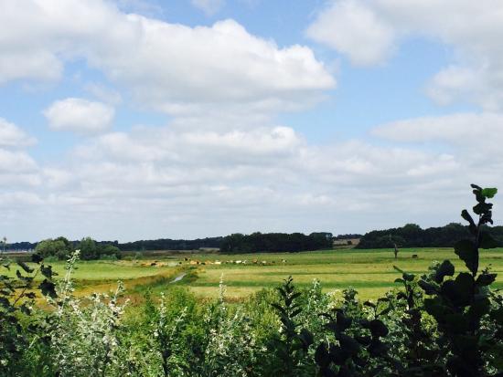 Suffolk Wildlife Trust at Trimley Marshes